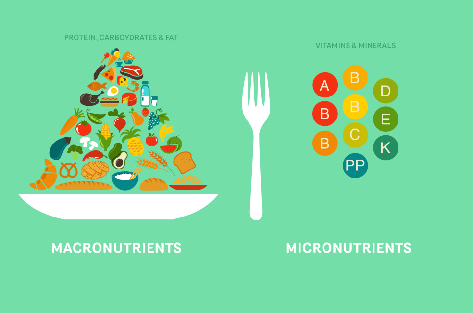 Image result for macronutrients vs micronutrients